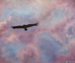 "Hawk In Flight"  Print From Original FA10